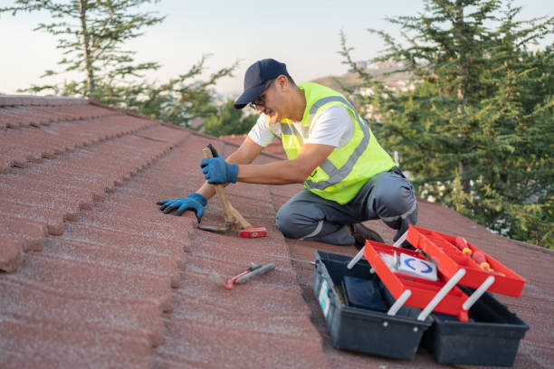 Best Metal Roofing Contractor  in Nooksack, WA
