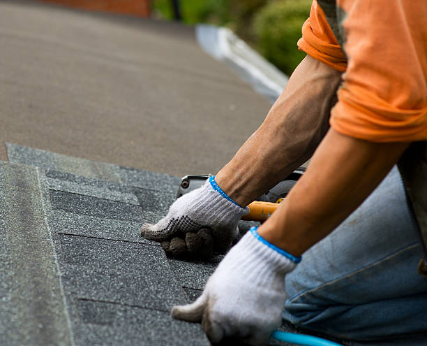 Best Roof Maintenance Services  in Nooksack, WA